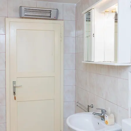 Apartment House Kocan-four Bedroom With Terrace And Swimming Pool Thurinici